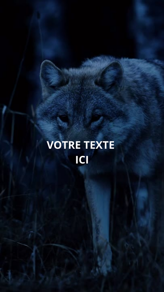 Bundle de 37 Animaux 4K