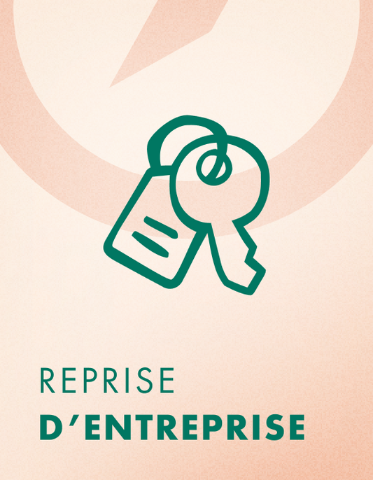 Formation REPRISE et relance D’ENTREPRISE